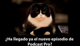 feed en el podcast